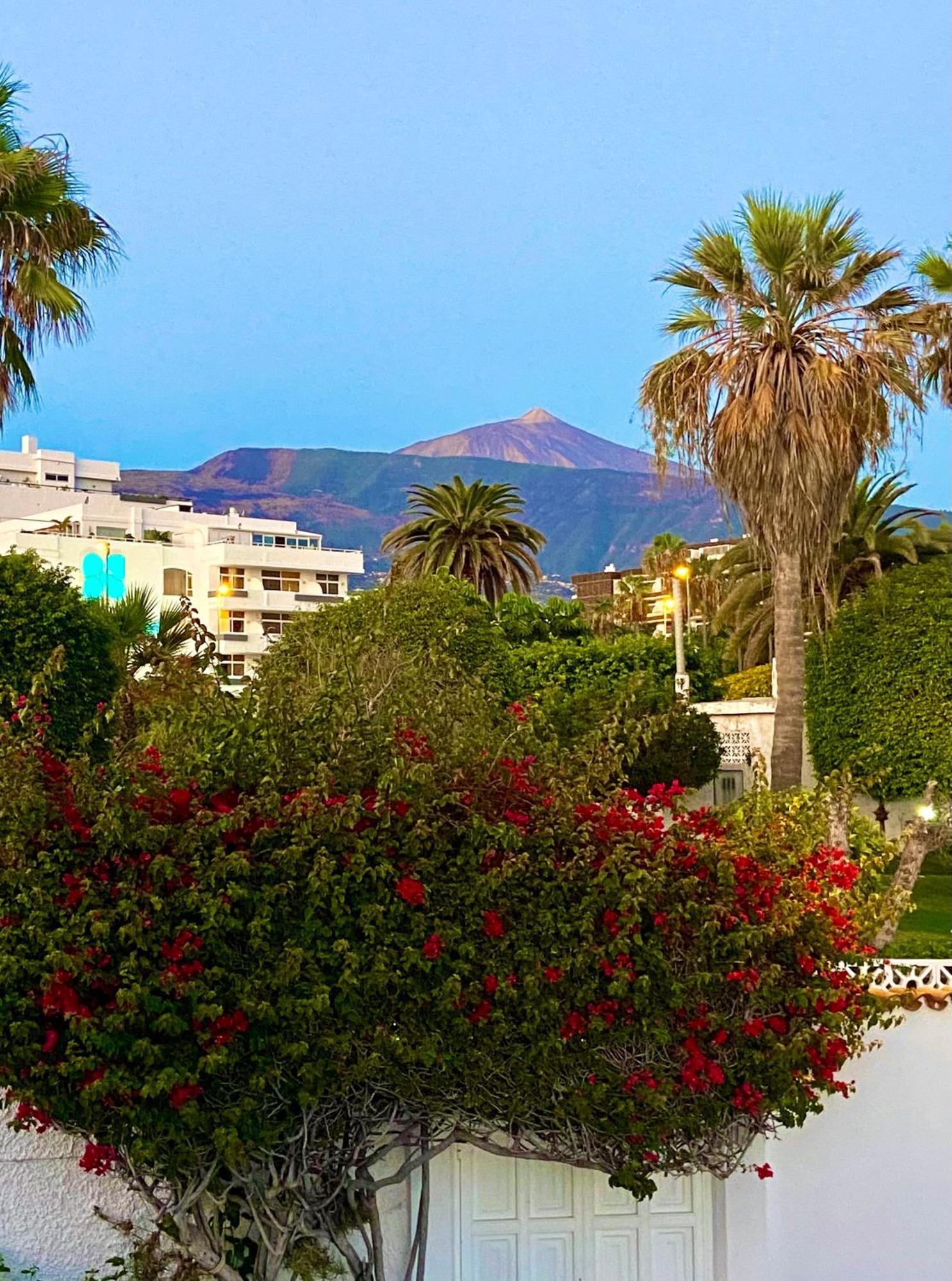 Villa Oasis La Paz - Pelinor Studio - Adults Only Πουέρτο Ντε Λα Κρουζ Εξωτερικό φωτογραφία