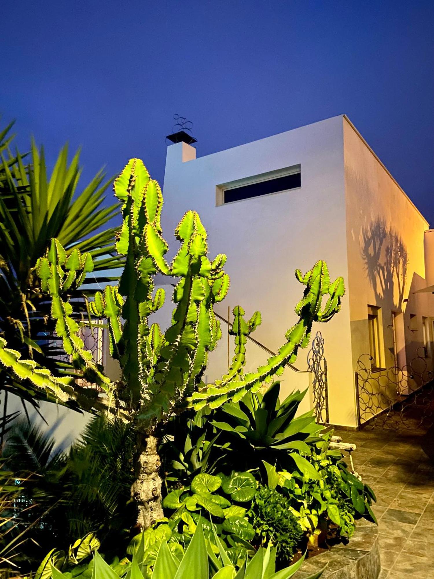 Villa Oasis La Paz - Pelinor Studio - Adults Only Πουέρτο Ντε Λα Κρουζ Εξωτερικό φωτογραφία