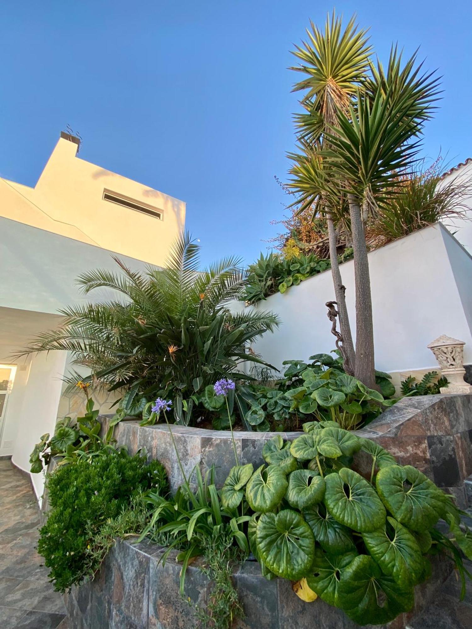 Villa Oasis La Paz - Pelinor Studio - Adults Only Πουέρτο Ντε Λα Κρουζ Εξωτερικό φωτογραφία
