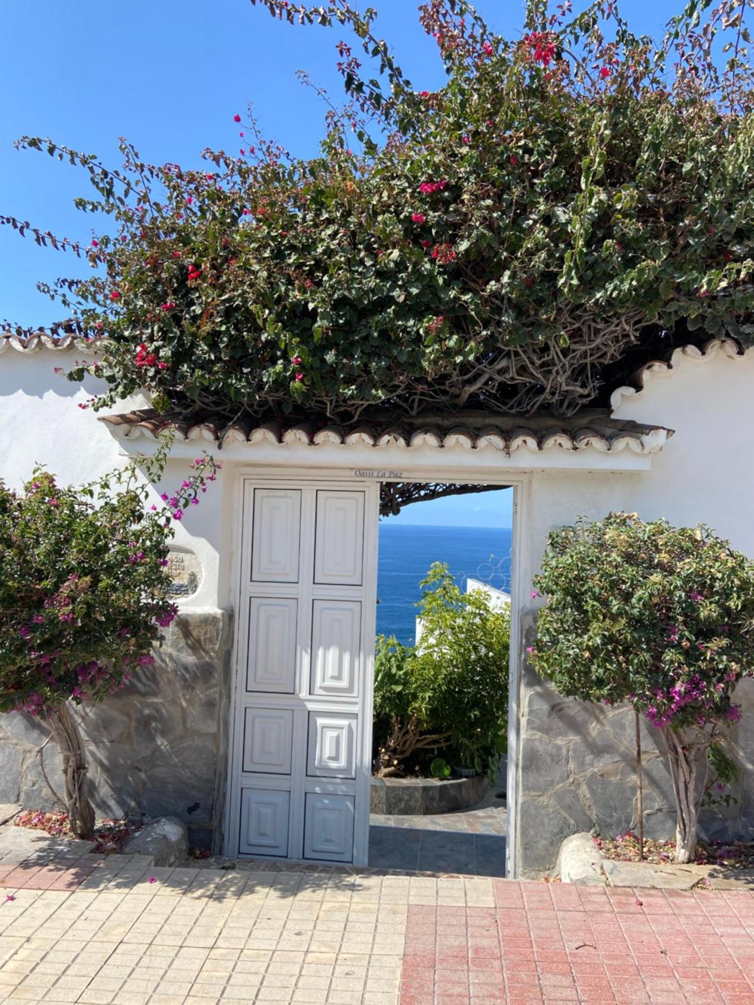 Villa Oasis La Paz - Pelinor Studio - Adults Only Πουέρτο Ντε Λα Κρουζ Εξωτερικό φωτογραφία